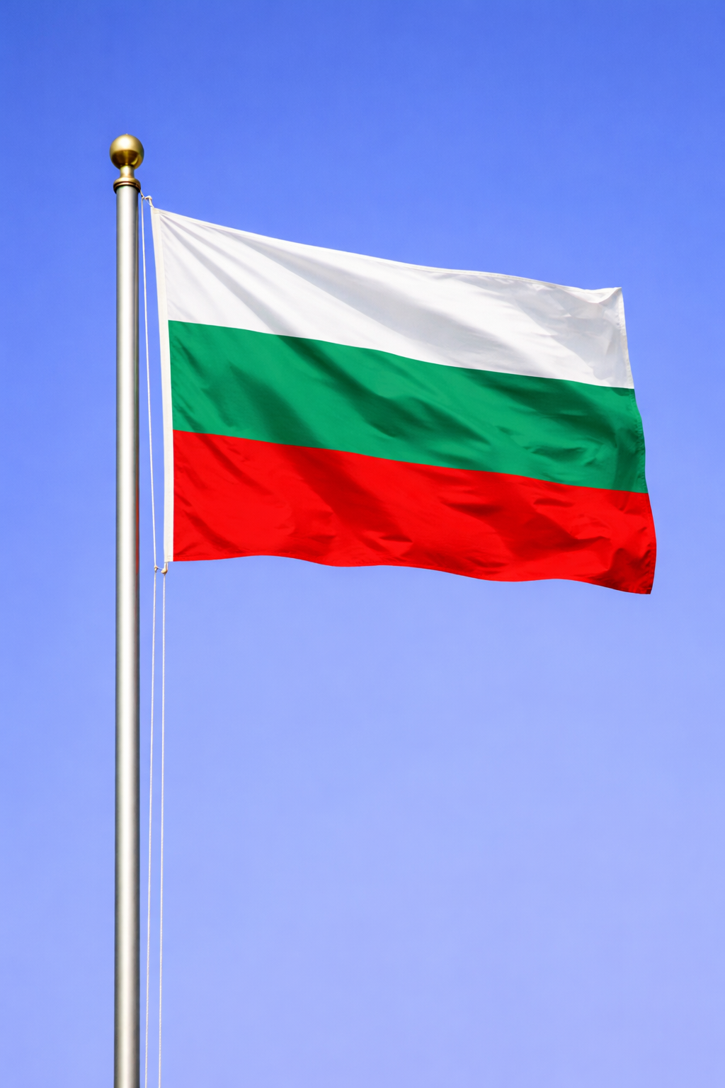 Тури в Болгарію