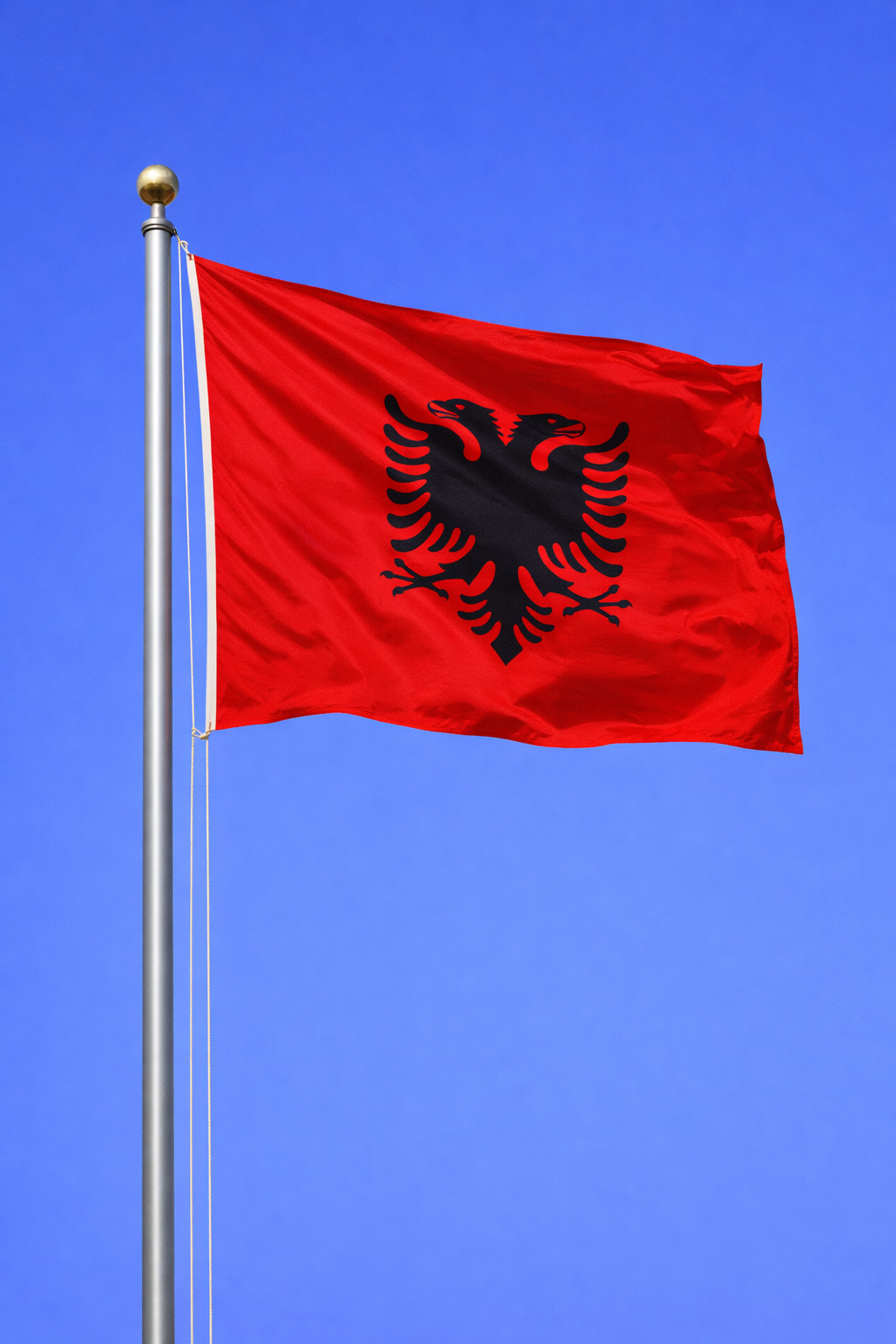Тури в Албанію